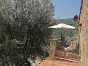L'11 di Borgo Biagioni Scarlino